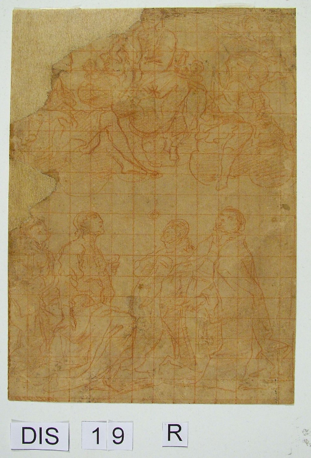 SPSAE_Urbino_000928I