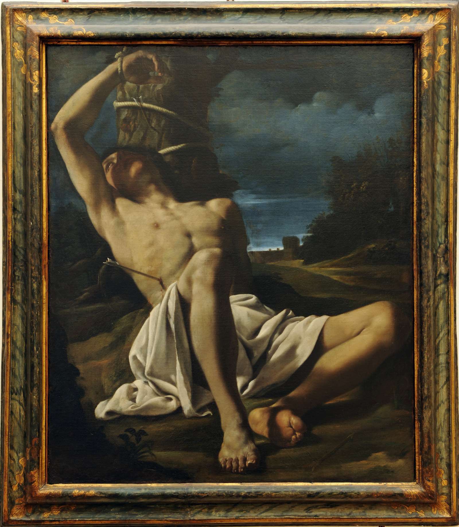 SBSAE Urbino 003639I