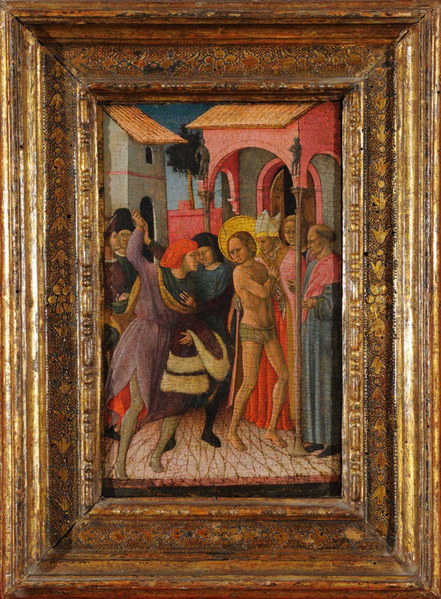 SBSAE Urbino 003687I