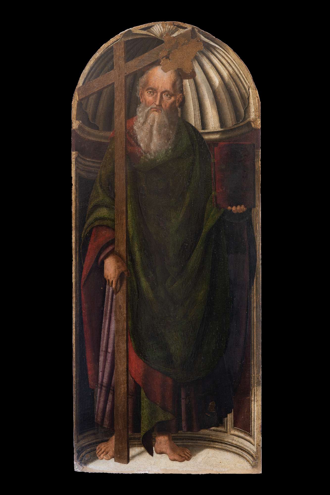 SBSAE Urbino 003718I