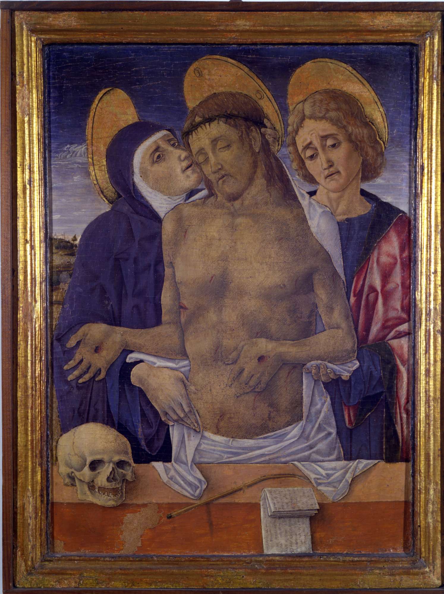 SBSAE Urbino 003694I